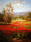 Poppy Field Splendid Pathway by Unknown Artist